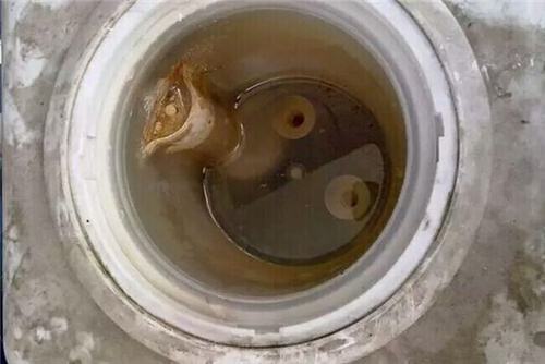 飲水機(jī)不清洗 飲水機(jī)不清洗